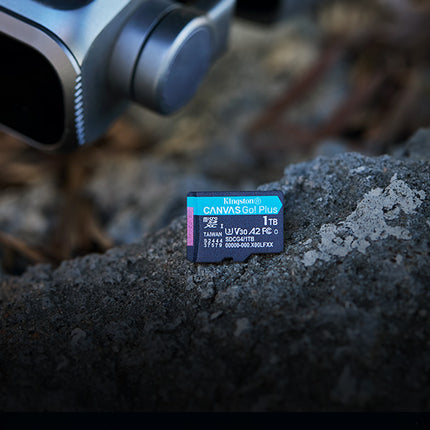 Kingston Canvas Go Plus microSDXC Memory Card Gen4 200MB/s A2 U3 V30 Single Package Without Adaptor