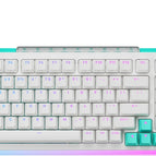 White / 98 percent / Linear Switches