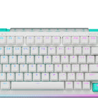 White / 75 percent / Tactile Switches