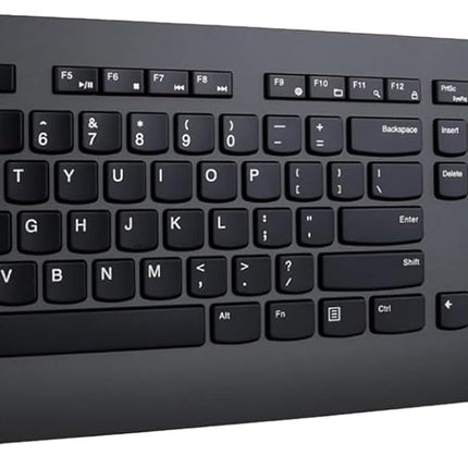 Lenovo Professional Wireless Keyboard and Mouse Combo, 2.4 GHz USB Wireless Receiver, Full Size Ambidextrous Mouse, 24 Month Battery Life, Black