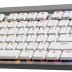 White / Linear Switches