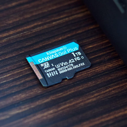 Kingston Canvas Go Plus microSD Card | Up to 200MB/s | Class 10, UHS-I, U3, V30, A2