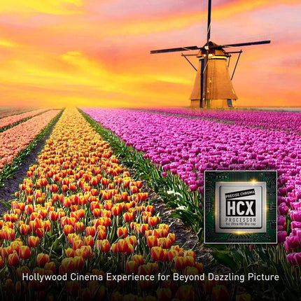Lecteur Blu-ray Ultra HD Panasonic DPUB820K avec Dolby Vision, audio haute résolution, assistance vocale, noir